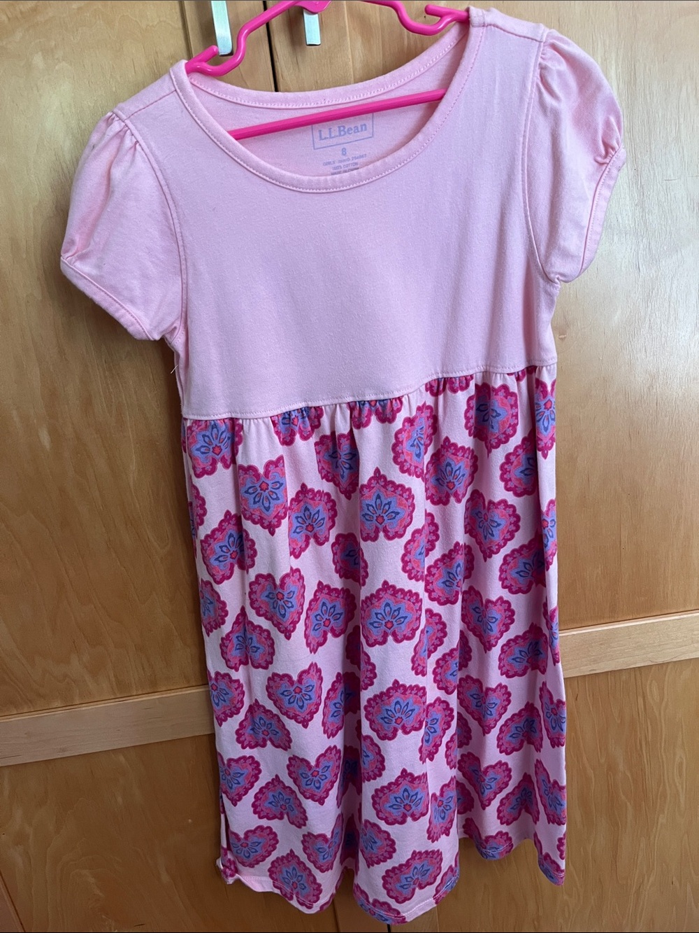 L.L. Bean Pink and Blue Floral Girls Dress
